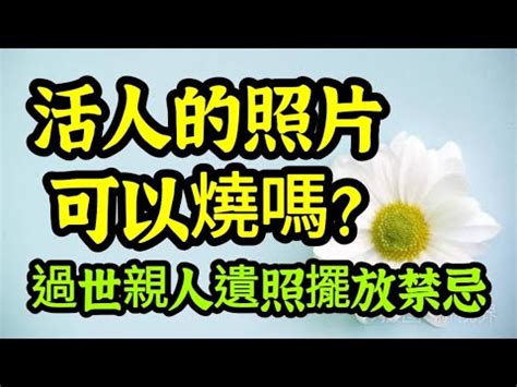 遺照擺放|遺照擺放風水學問